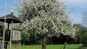 A playground with a yellow slide, a wooden playhouse, and a tree with white blossoms. - Cottage Le Merle Blanc 2 to 6 persons (PIERREPONT)