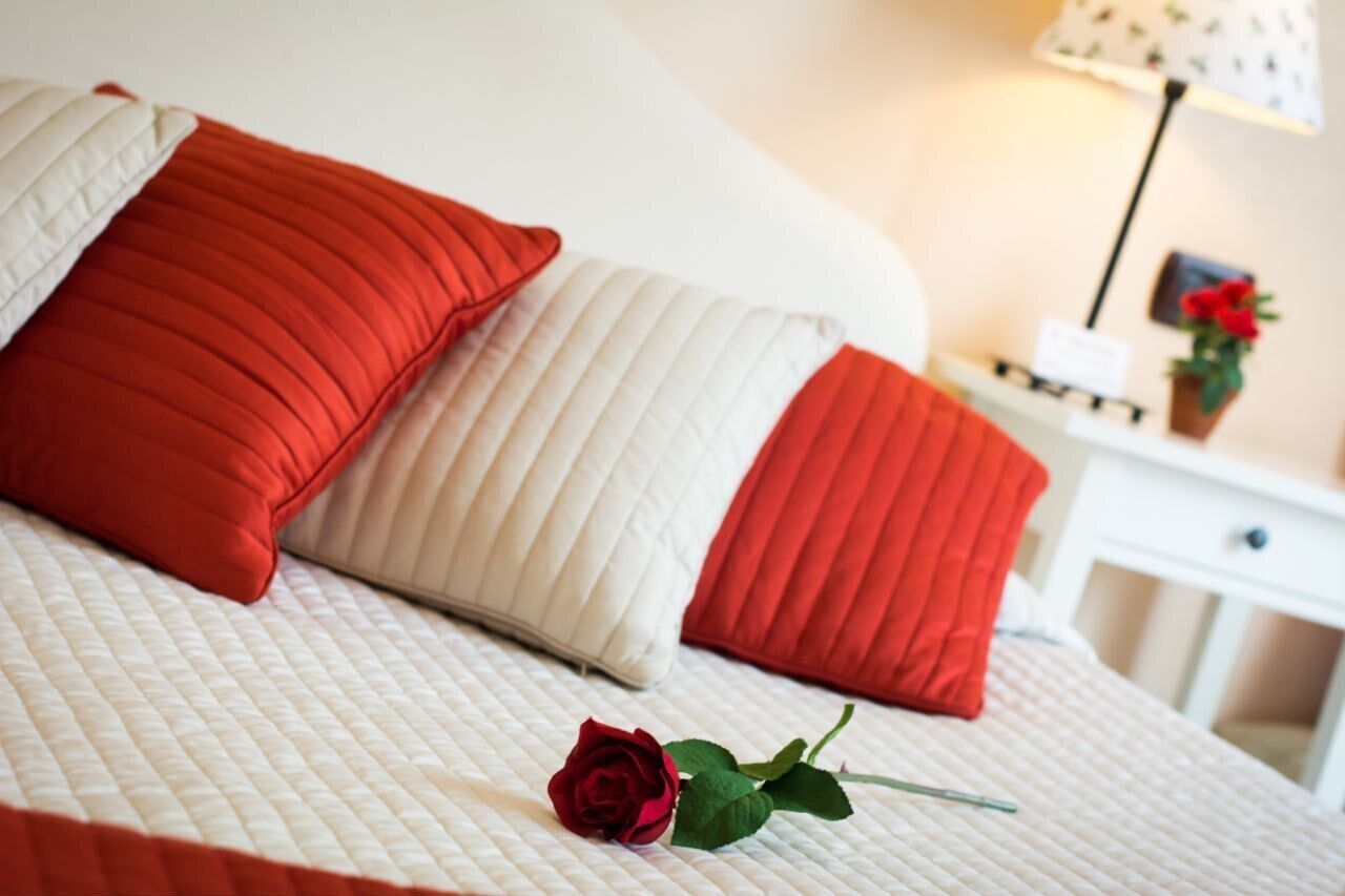 A bed with red and white pillows, a red rose, and a bedside table with a lamp and a small plant.