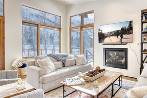 Flat-screen TV, fireplace, video library