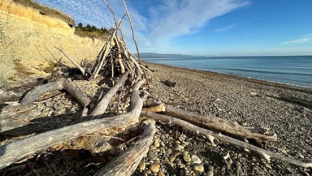 Une plage de galets, parsemée de morceaux de bois flotté, sous un ciel dégagé.