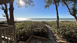 A beach view with a wooden deck and dense foliage in the foreground. - Beachfront Paradise, Retro Twist, Exquisite Views, Private Entrance, EV Car Charger!   (Indian Shores)