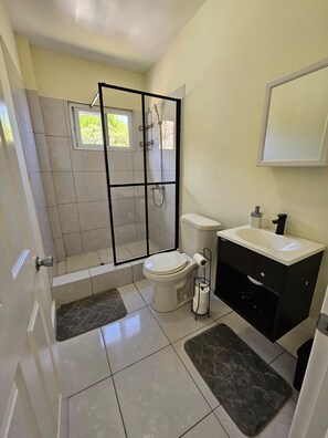 Shower, hair dryer, towels, soap