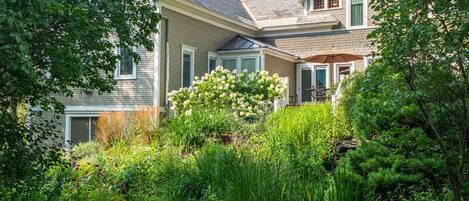 A house with a garden and a pond with lily pads.