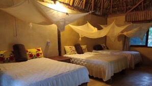 Couette en duvet d'oie, Wi-Fi gratuit, ameublement personnalisé