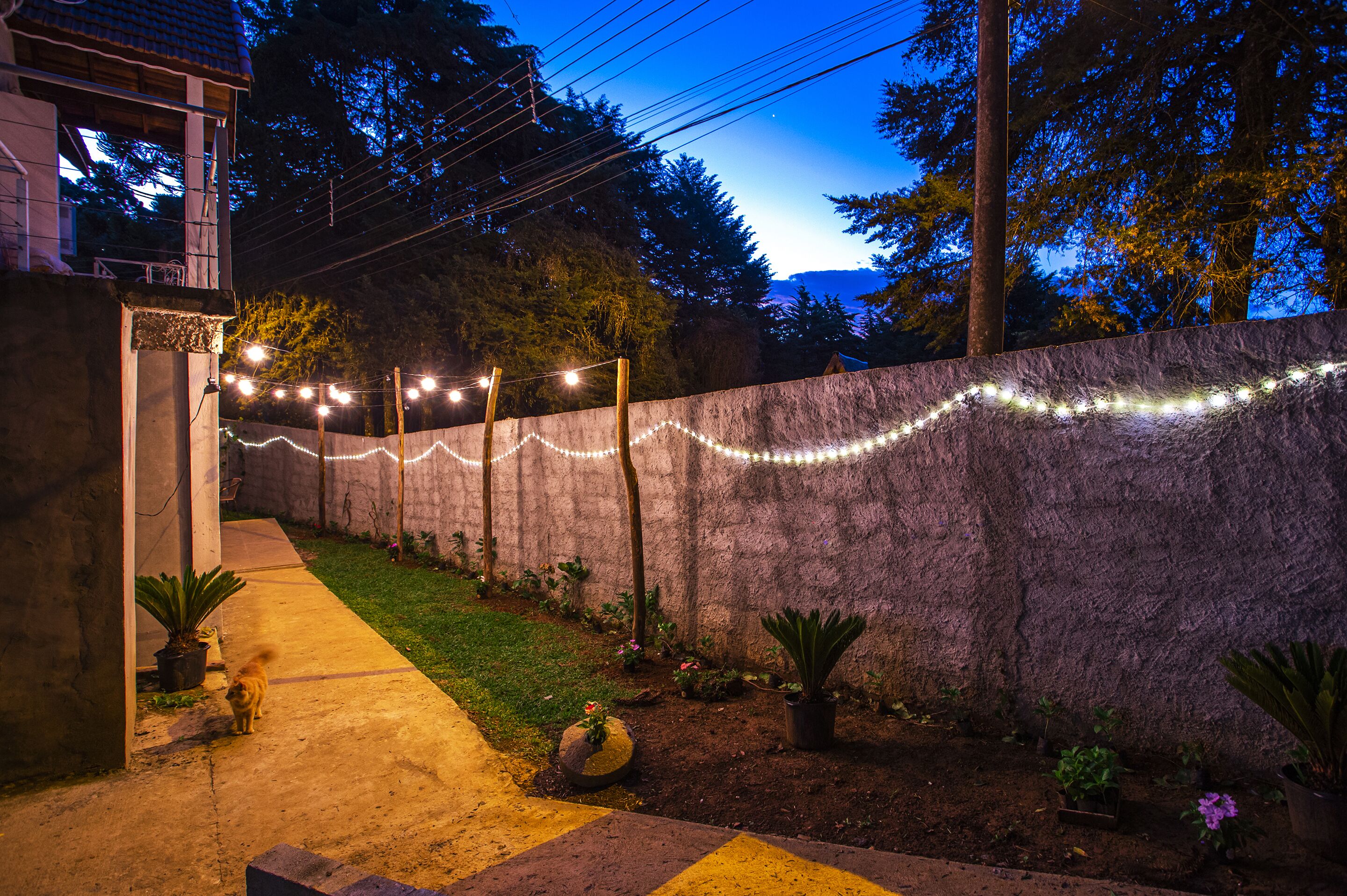 Foto - Pousada Vila Suiça - Monte Verde