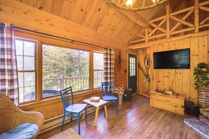TV, fireplace, books - Andover Cabin Retreat w/ Hot Tub & Fireplace! (Andover)