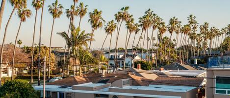 A residential area with multiple houses, palm trees, and a clear sky.