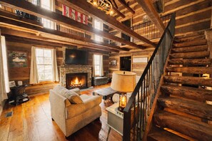 Televisión, chimenea, reproductor de DVD y libros 