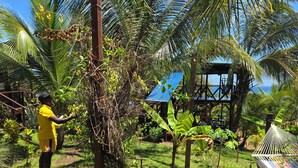 A person in a yellow shirt working near a tree in a lush garden with a hammock and a structure with a blue roof.