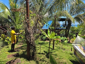 Une personne vêtue d’un t-shirt jaune travaille près d’un arbre dans un jardin luxuriant, où l’on aperçoit un hamac et une structure surmontée d’un toit bleu.