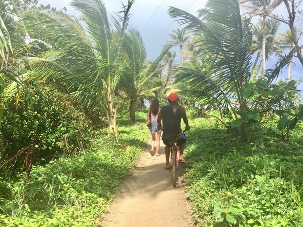 Beach nearby, white sand - The Lighthouse Retreat, Little Corn island, Nicaragua (Corn Islands)