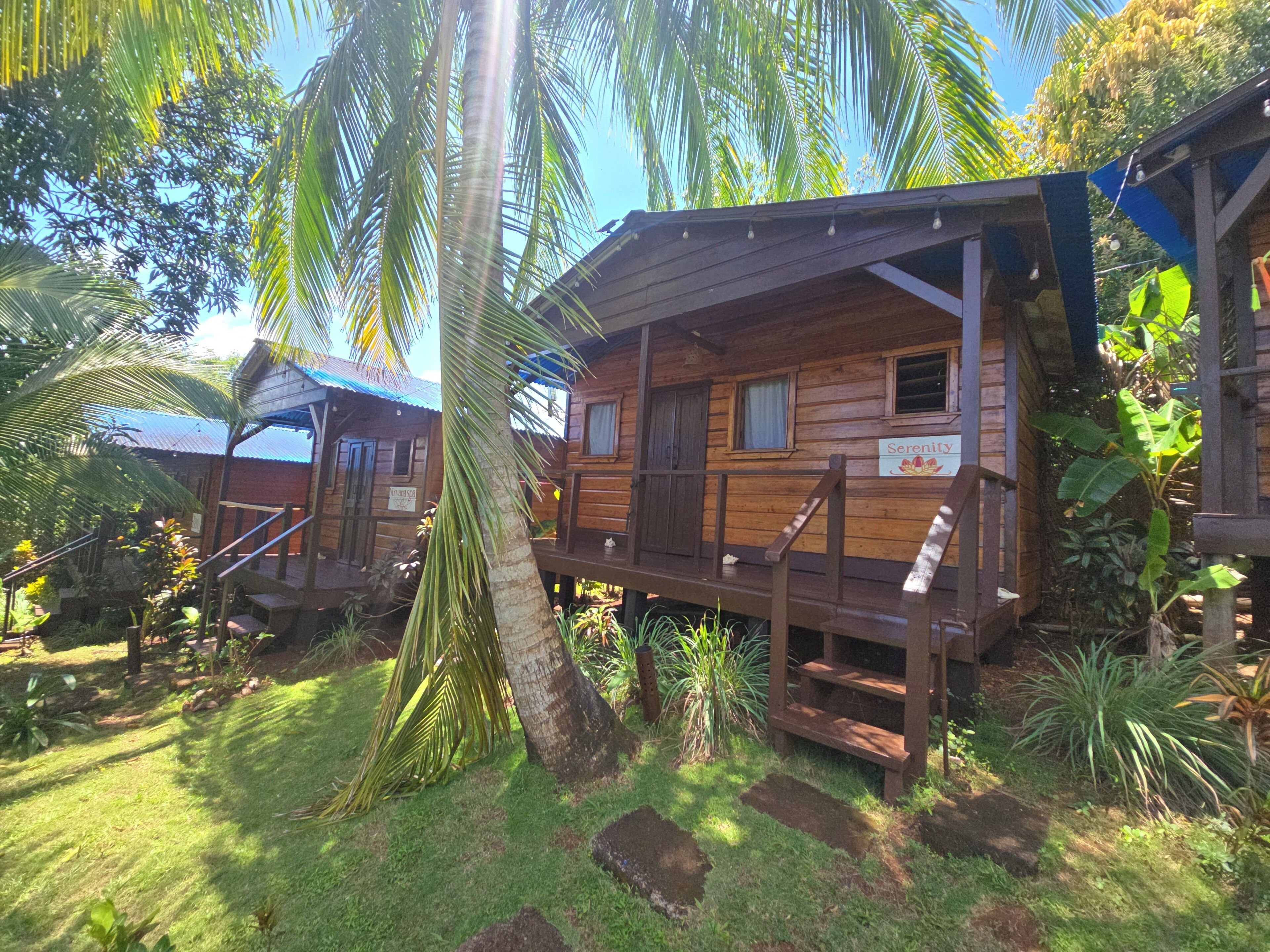 A wooden cabin with a deck, surrounded by lush greenery and palm trees.