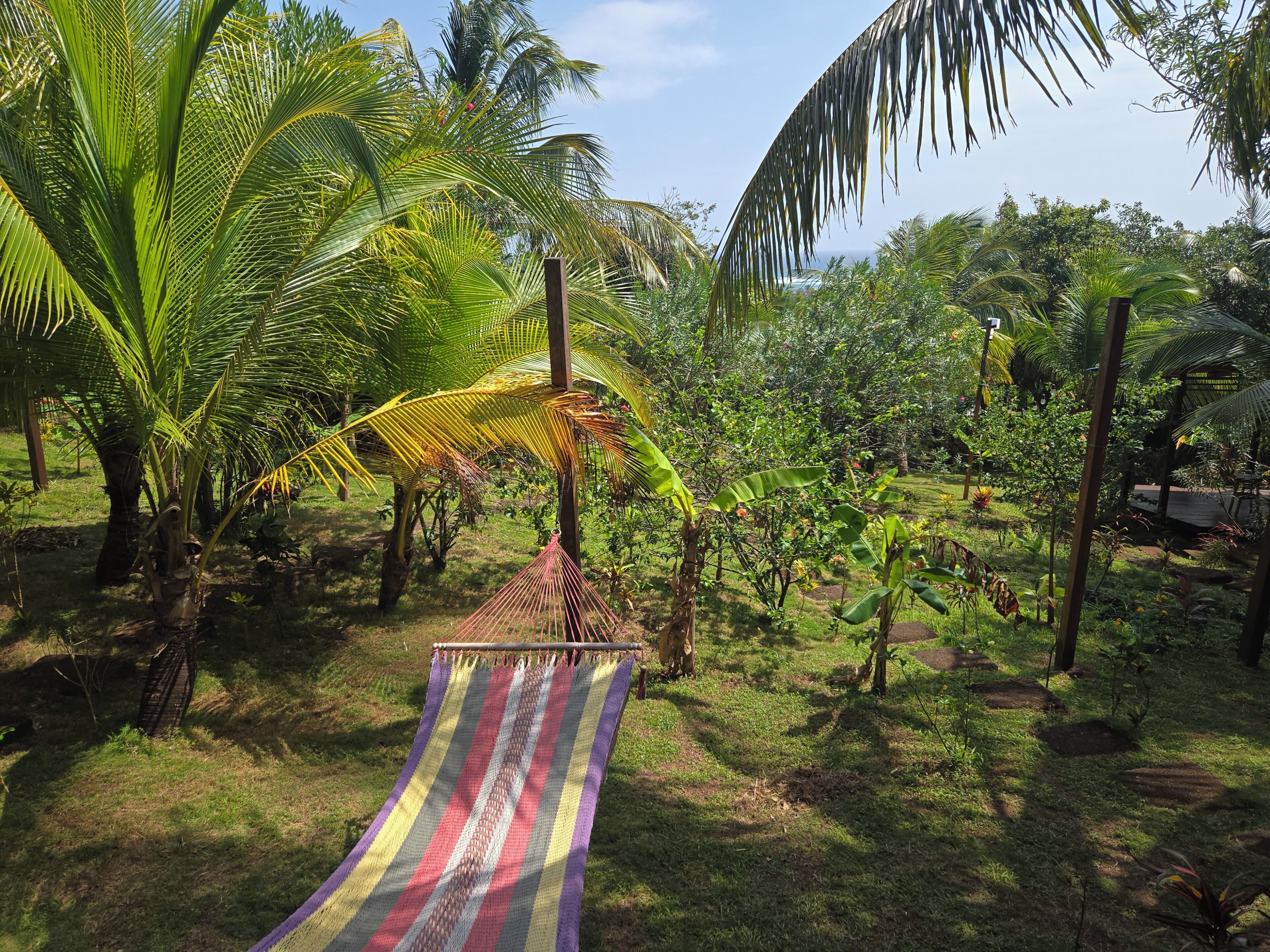 A hammock in a lush garden with palm trees and a clear sky.