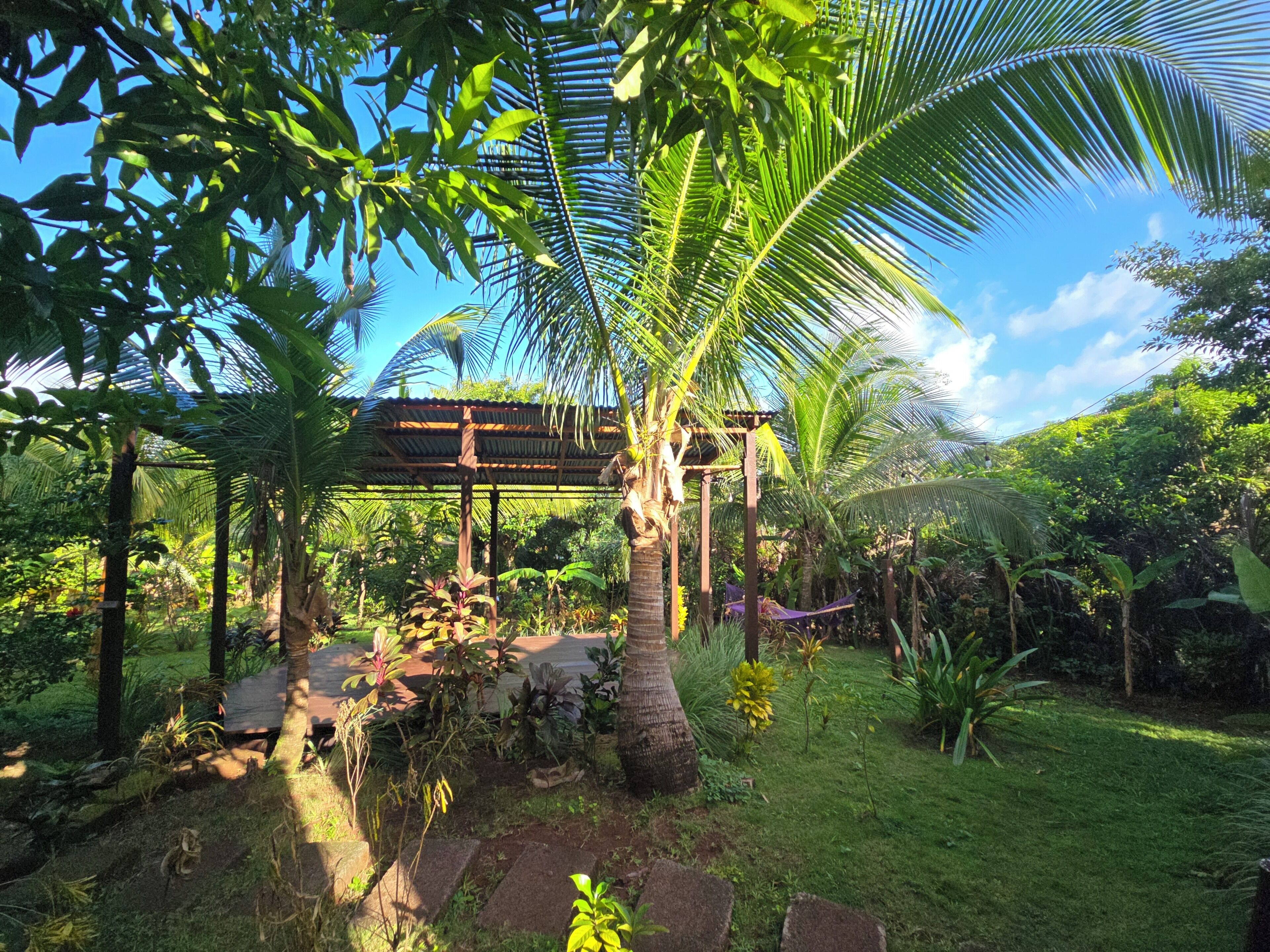 A garden with a pergola, palm trees, and a variety of plants.