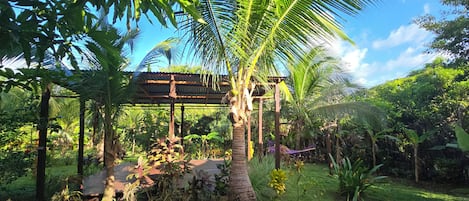 A garden with a pergola, palm trees, and a variety of plants.