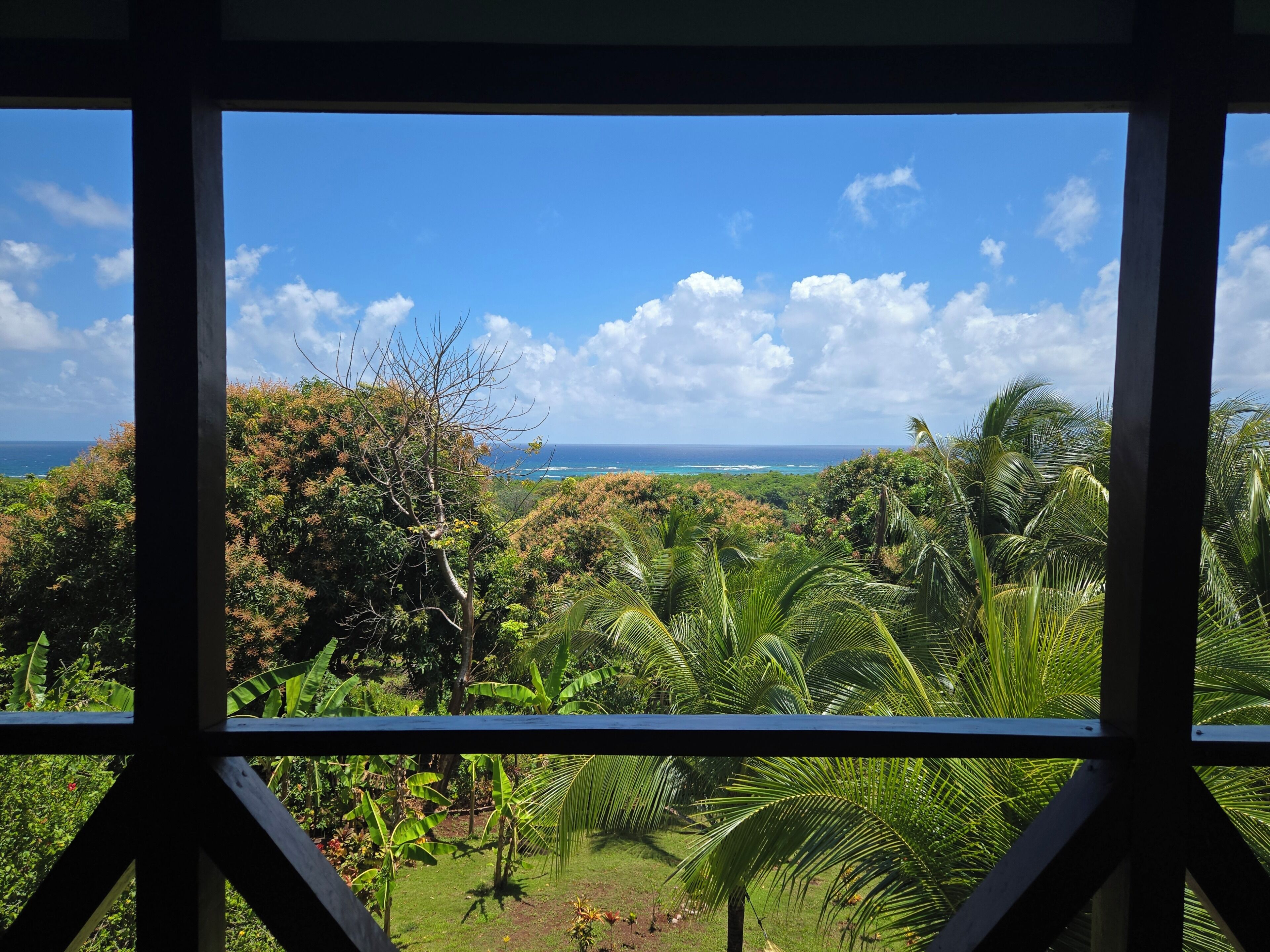 A view through a window with a tropical landscape, including dense foliage and a distant ocean.
