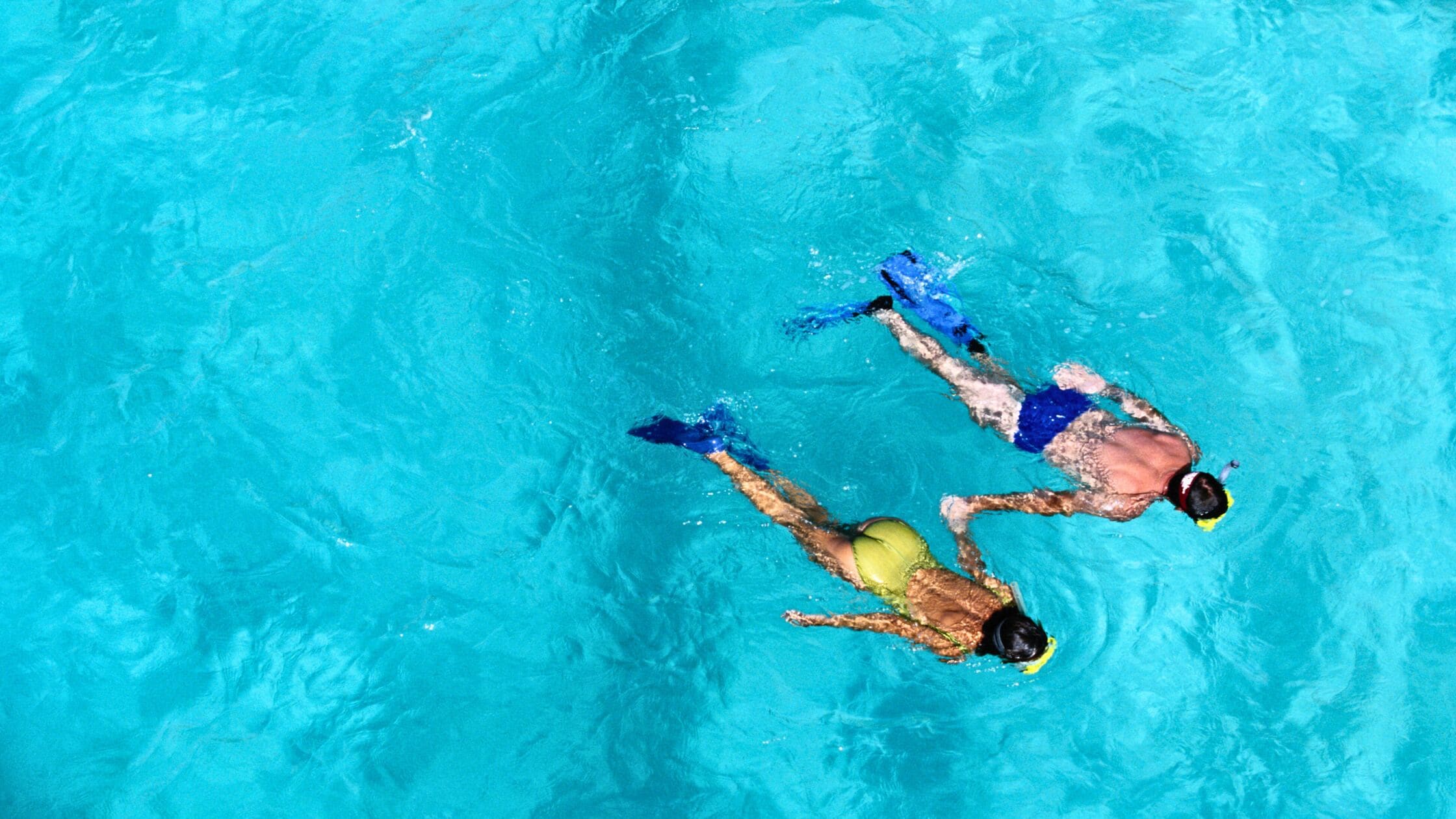 Two individuals swimming in a clear blue pool.