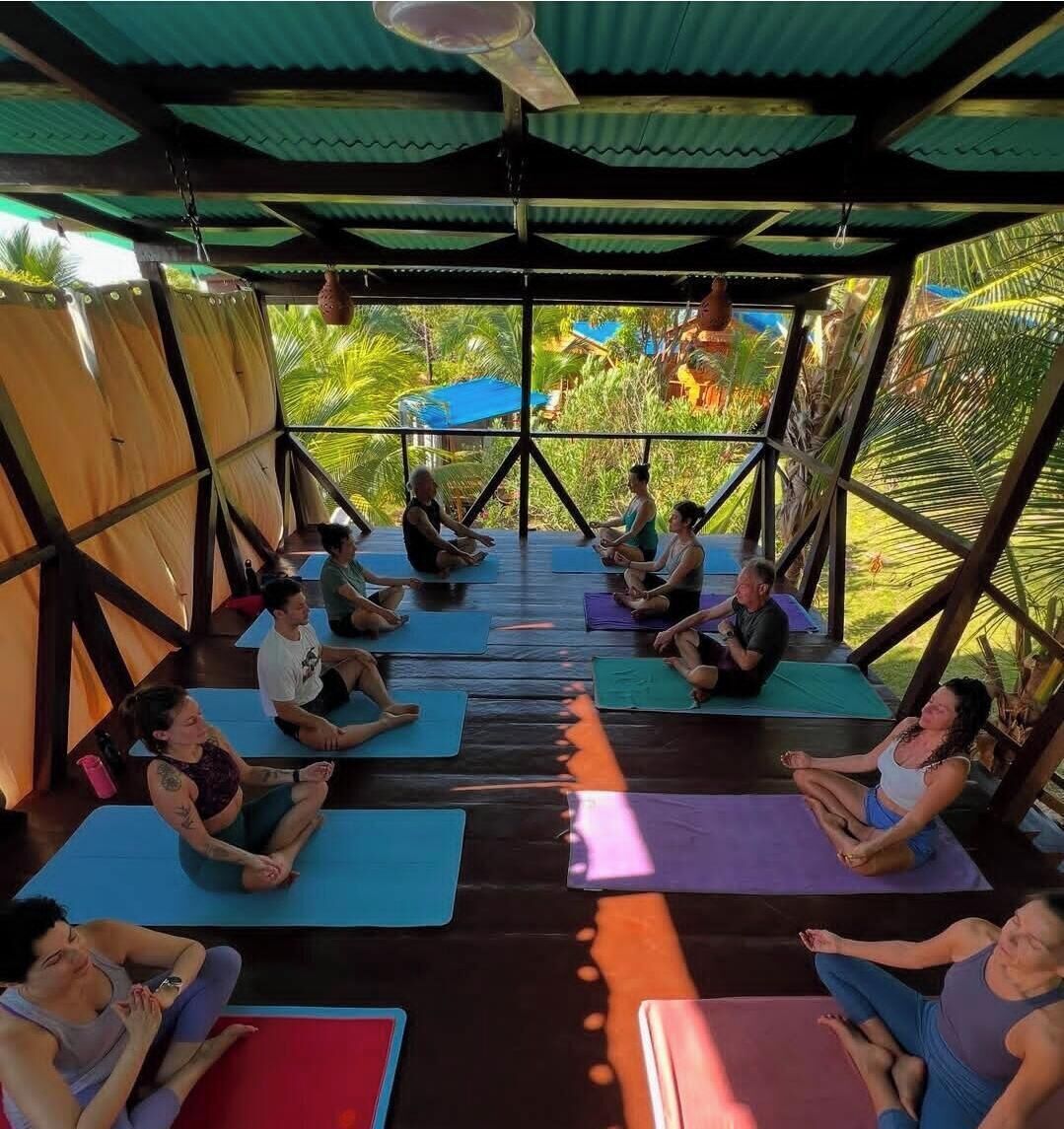 A group of people sitting on yoga mats in a covered outdoor area with a view of greenery.