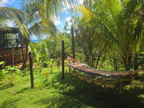 A hammock in a lush garden with a wooden structure in the background. - The Lighthouse Retreat, Little Corn island, Nicaragua (Corn Islands)