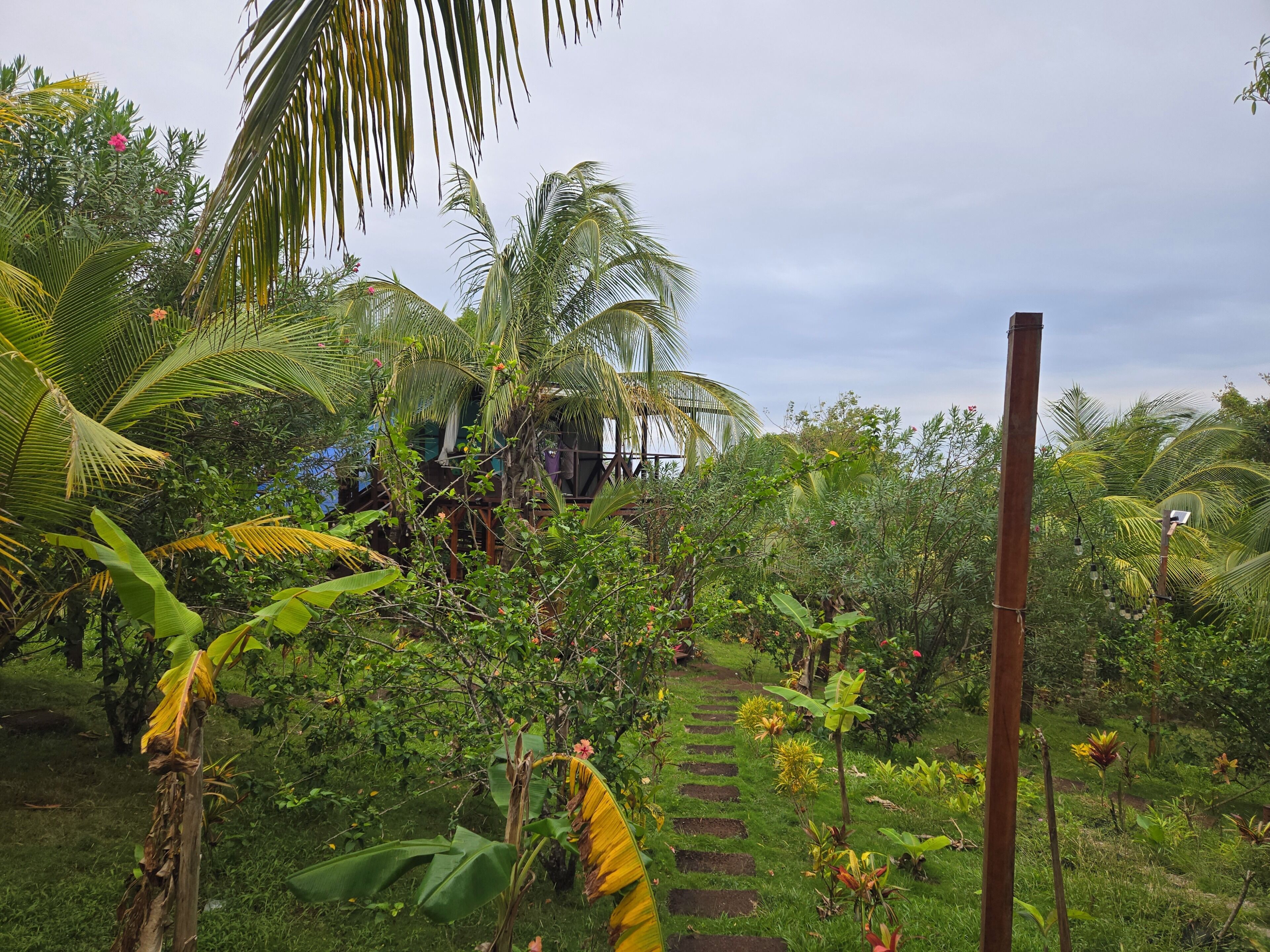 A lush garden with a variety of tropical plants, a wooden pathway, and a structure in the background.