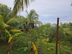 A lush garden with a variety of tropical plants, a wooden pathway, and a structure in the background. - The Lighthouse Retreat, Little Corn island, Nicaragua (Corn Islands)