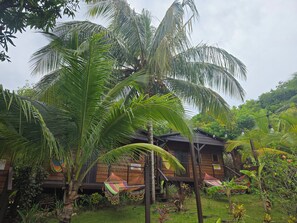 A wooden building with a sign labeled 'Serenity' surrounded by lush greenery and palm trees. - The Lighthouse Retreat, Little Corn island, Nicaragua (Corn Islands)