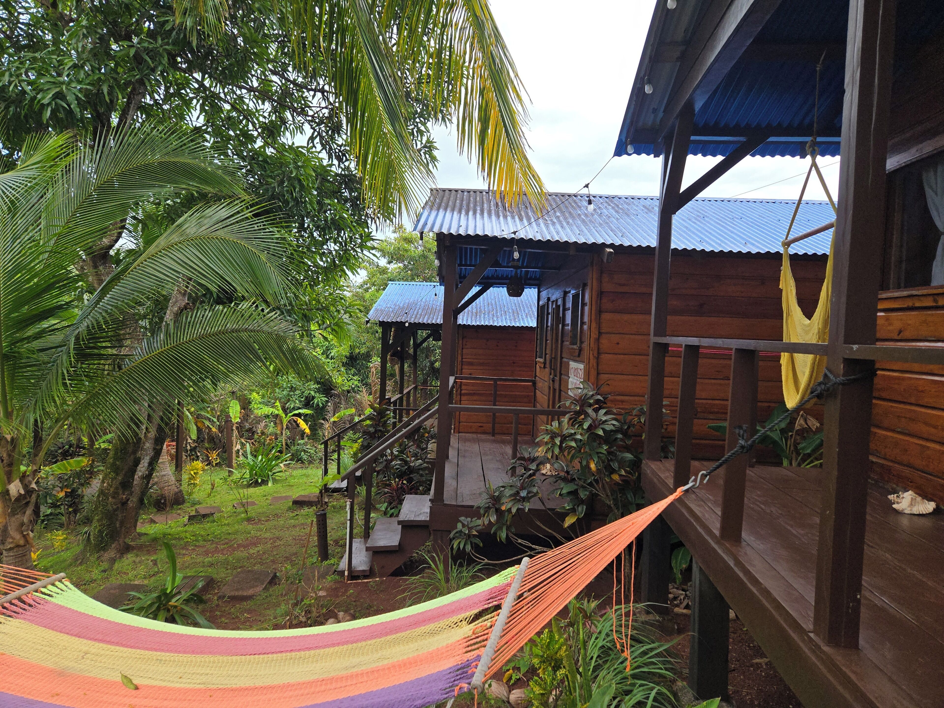 A wooden cabin with a porch, surrounded by lush greenery and a hammock.
