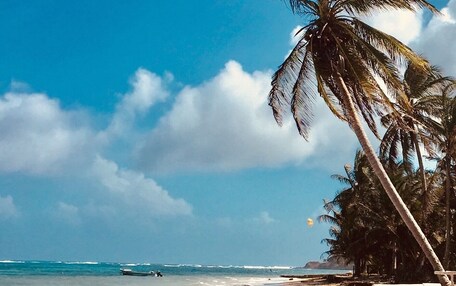 Beach nearby, white sand