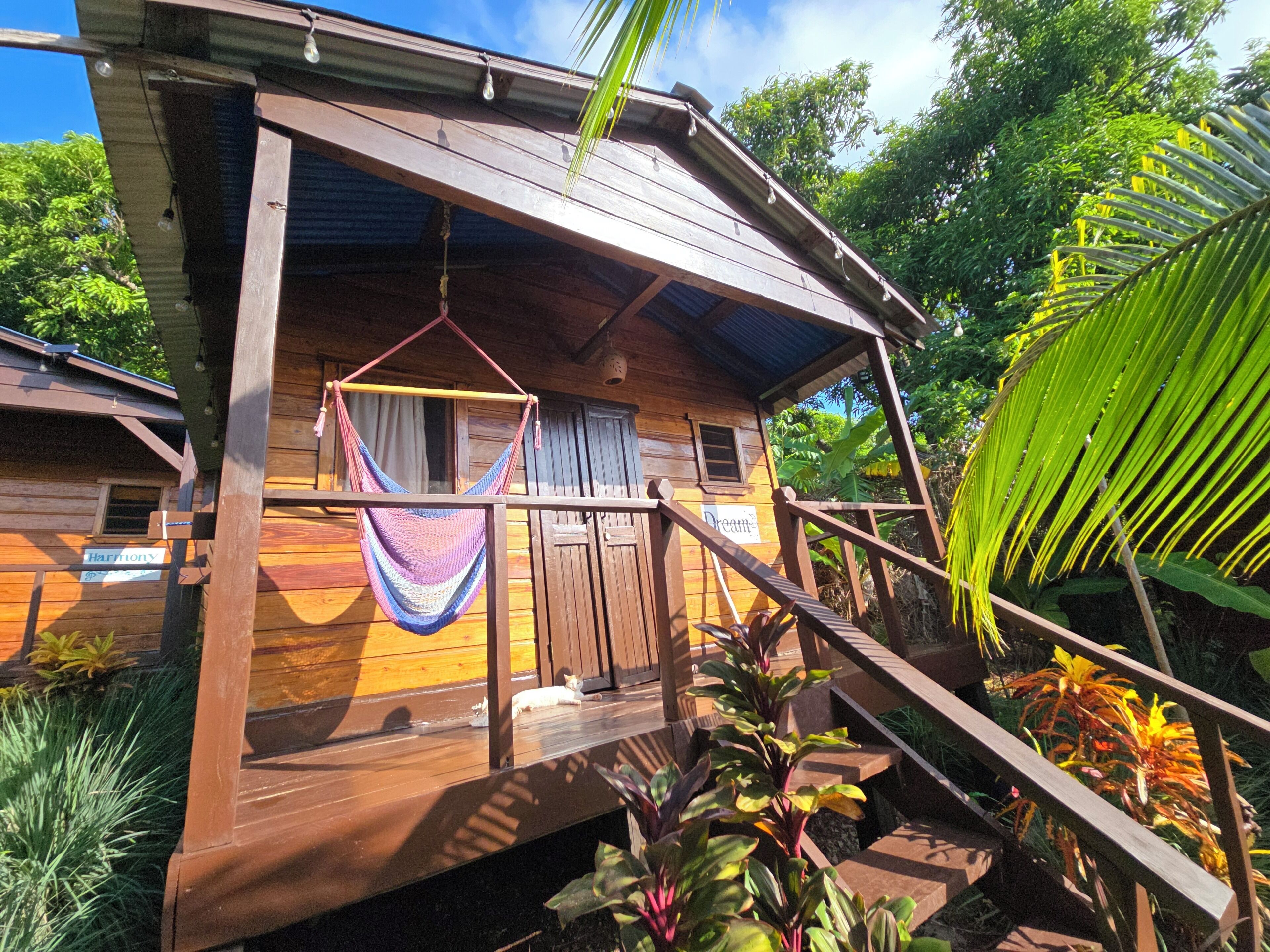 A wooden cabin with a porch, a hammock, and a sign that reads 'Dreams'.