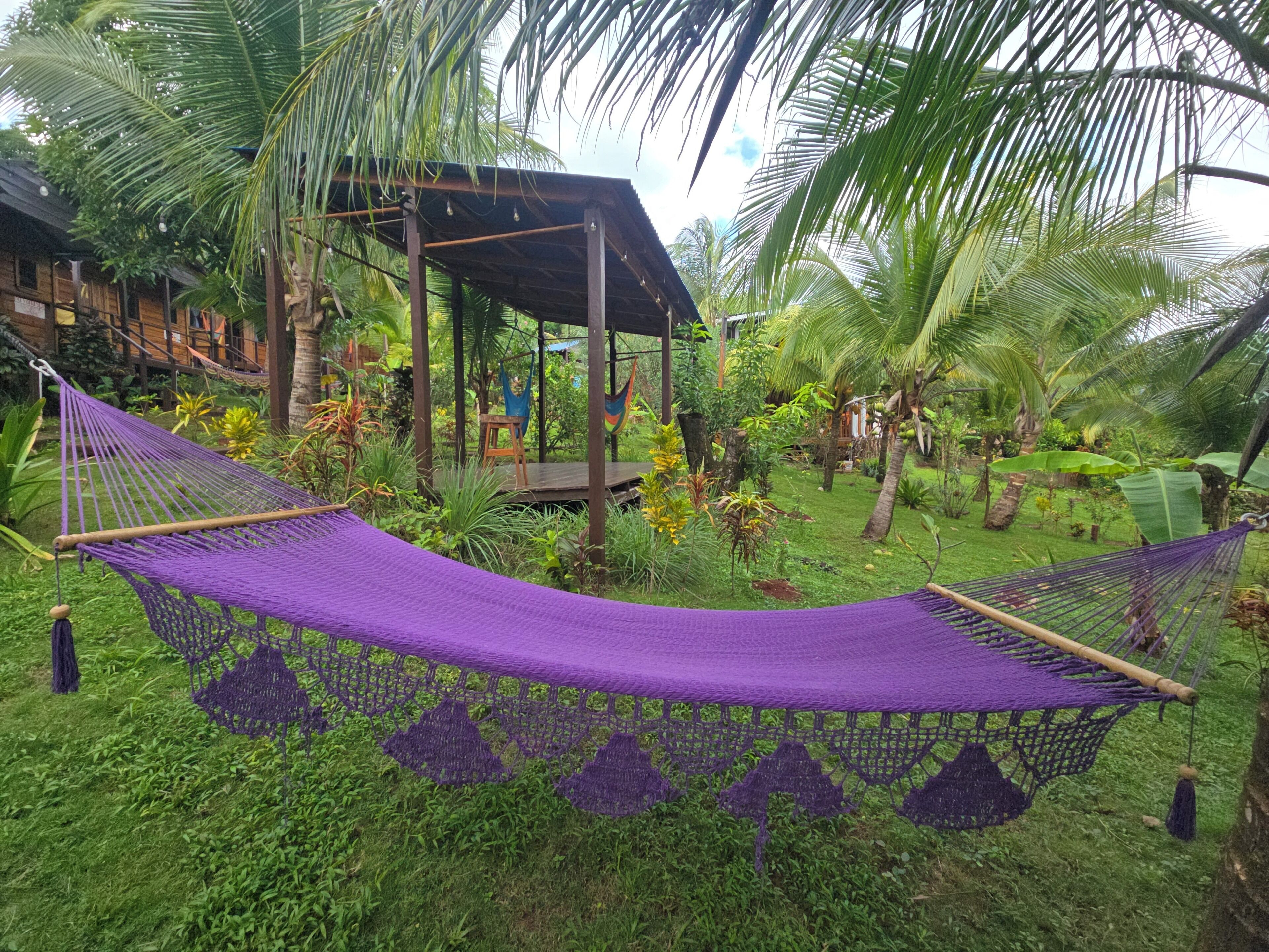 Zen Queen | Terrace/patio