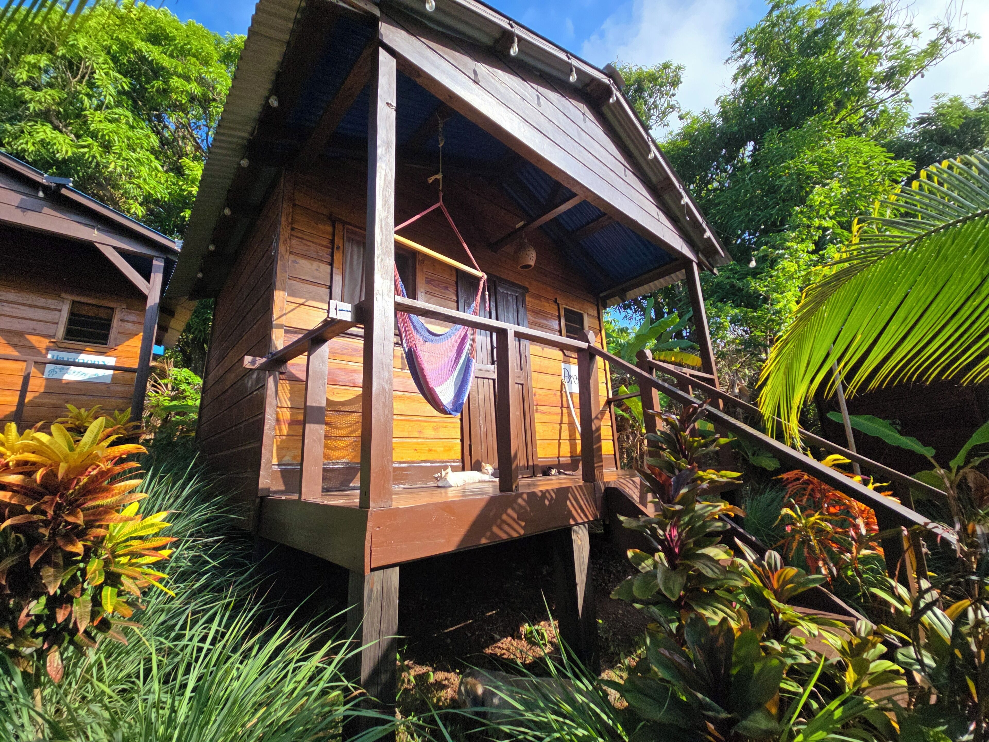 A wooden cabin with a balcony, surrounded by lush tropical vegetation.