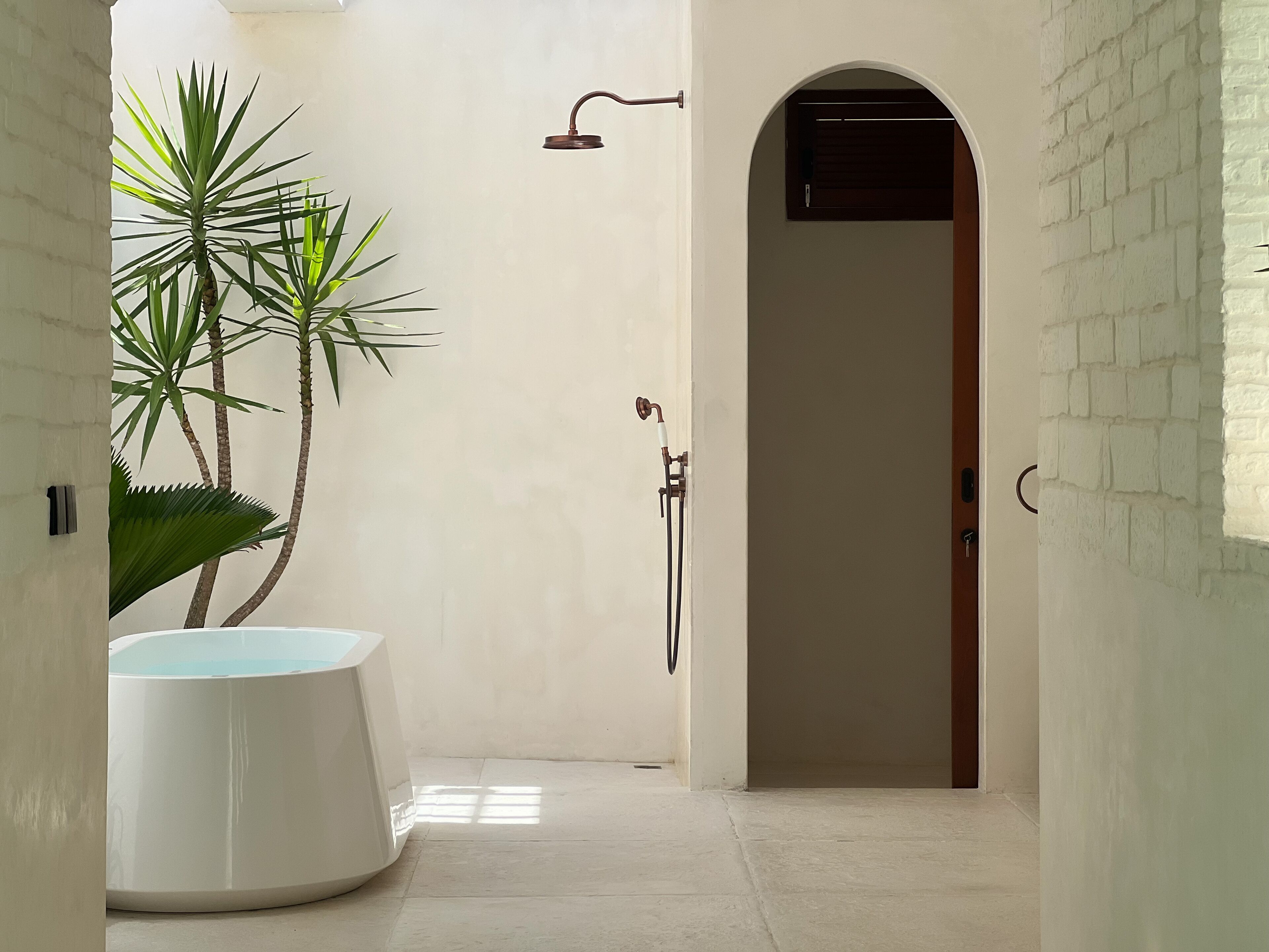 Un baño minimalista con una bañera blanca grande, zona de ducha y una planta en maceta.