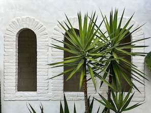 Two arched windows frame a lush green plant against a brick wall.