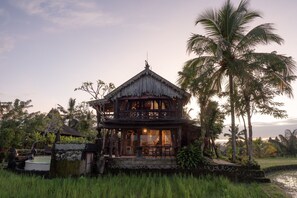 Exterior - Sunset rice fields Villa -10 minutes from Tegallalang rice fields (Bali)