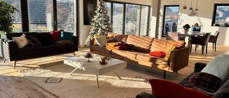 Télévision, cheminée, chaßne hi-fi