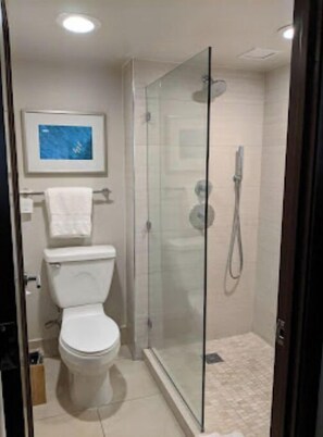 Shower, jetted tub, hair dryer, towels