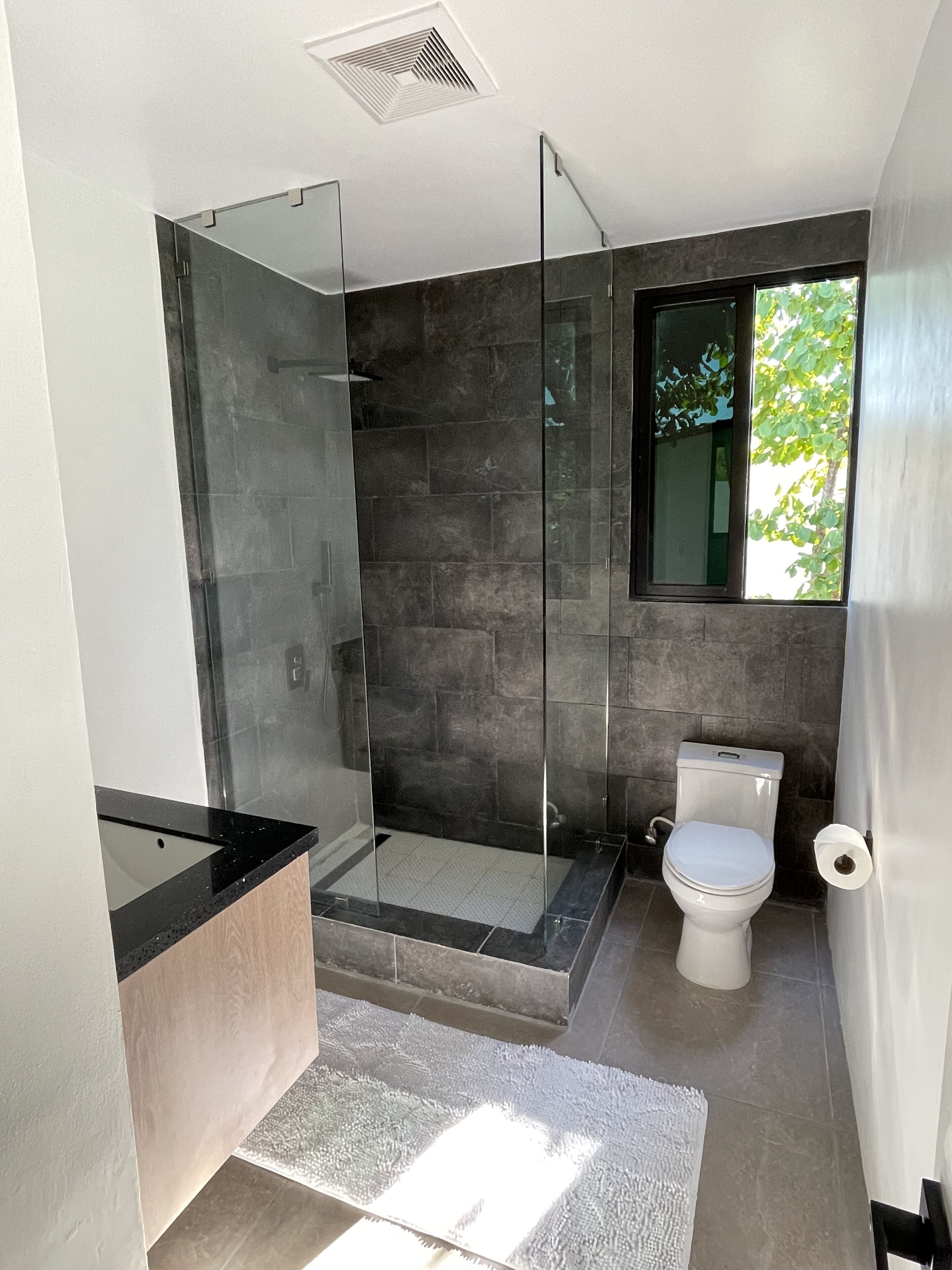Shower, towels, toilet paper