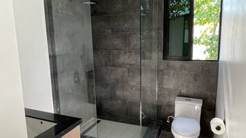 Shower, towels, toilet paper