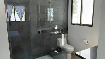 Shower, towels, toilet paper