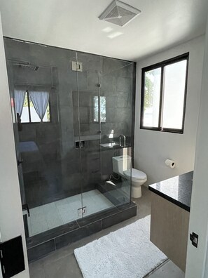 Shower, towels, toilet paper