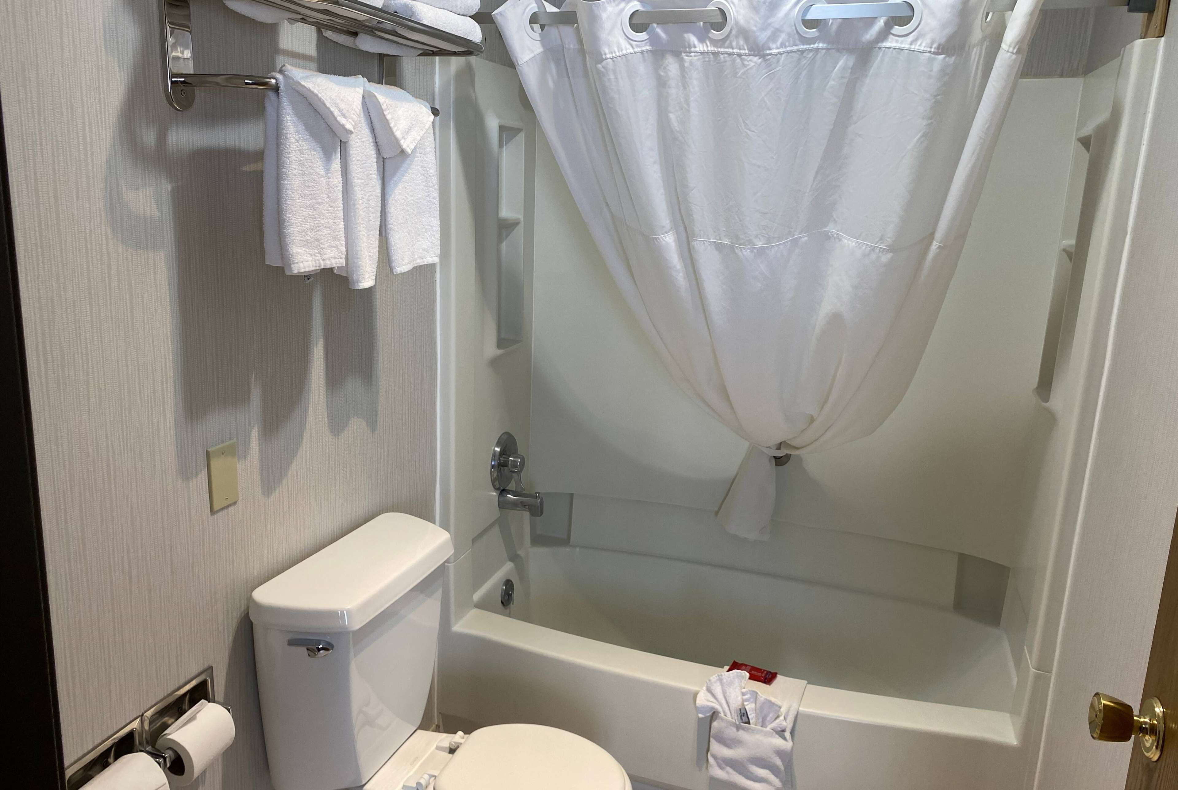 A bathroom with a toilet, a bathtub, and a shower curtain.