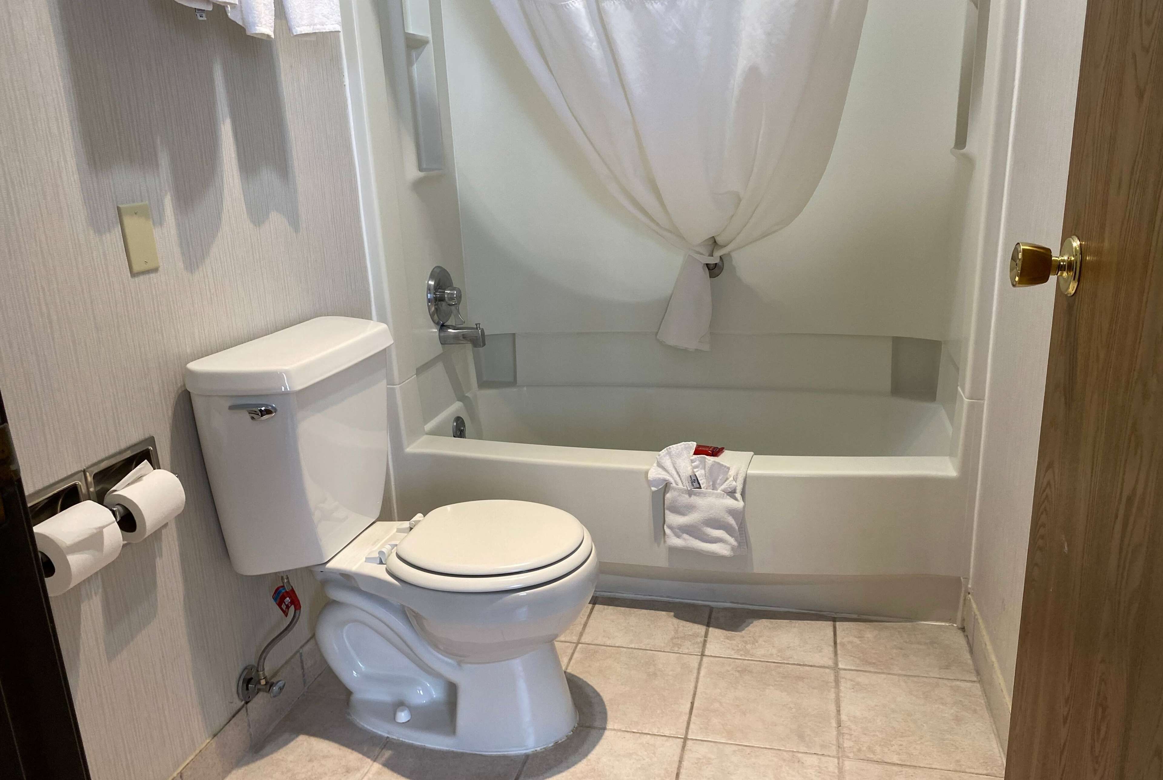 A bathroom with a toilet, a bathtub, and a shower curtain.