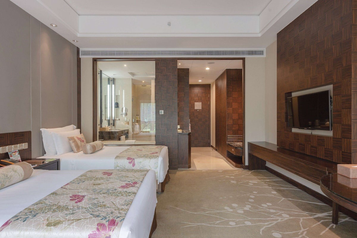 Une chambre d’hôtel avec deux lits, une télévision, un miroir et une salle de bain visible à travers une porte ouverte.
