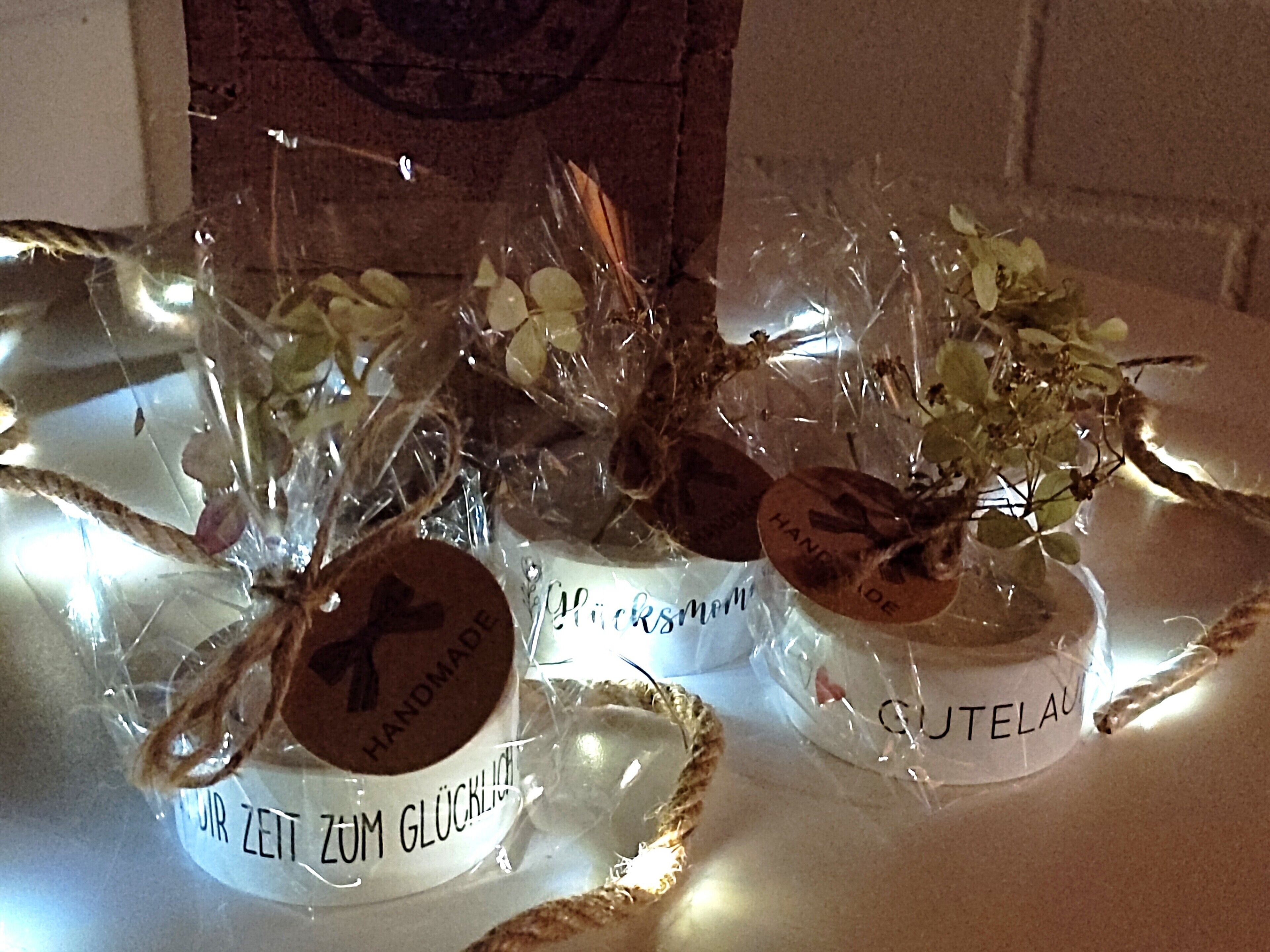 Een tafel met kleine plantjes in potten, elk voorzien van een label.