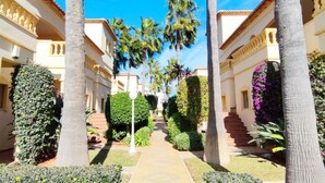 A courtyard with palm trees, a central pathway, and a building with balconies.