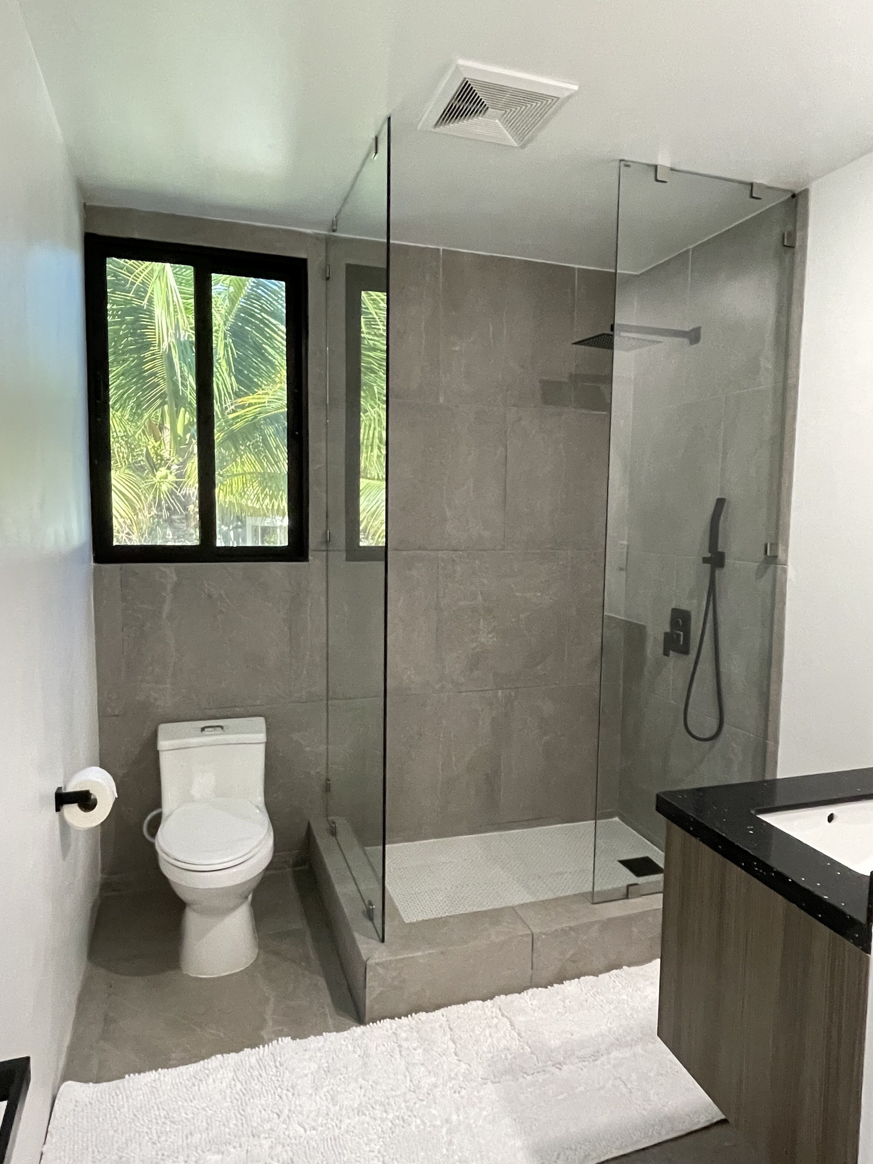 Shower, towels, toilet paper
