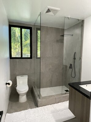 Regadera, toallas, papel de baño 