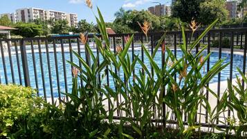 3 outdoor pools, open 8:00 AM to 8:00 PM, pool umbrellas