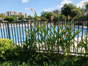 3 kolam renang outdoor, dengan payung kolam renang