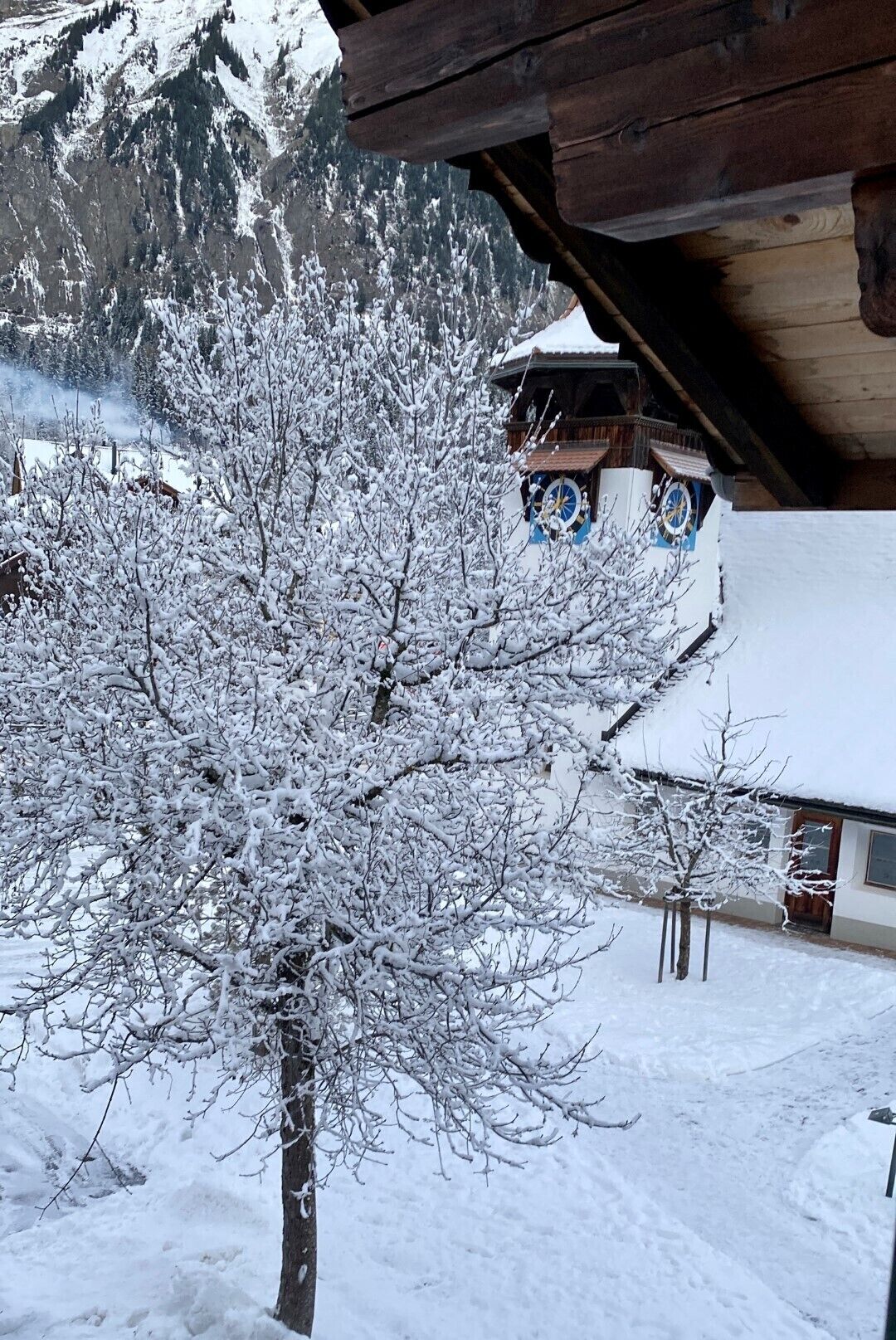 Enceinte de l’hébergement